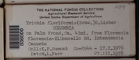 Image Associated With the Occurence